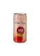 Miniatura de SUCO DE MAÇÃ GASEIFICADO 269ML.jpg