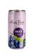 Miniatura de SUCO DE UVA INTEGRAL COM GÁS 269ML.jpeg